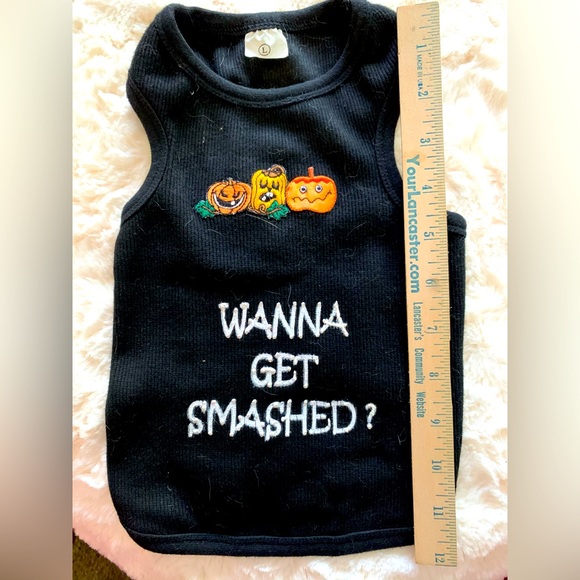 Gently used dog Halloween sweater - Picture 1 of 2